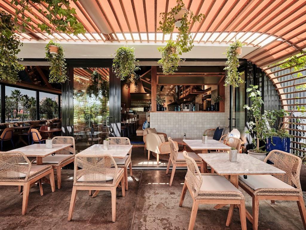 ليزي كات مروج