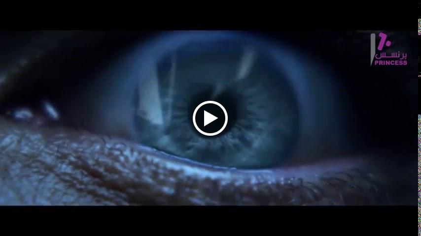 مركز الاميرة لتأجير السيارات