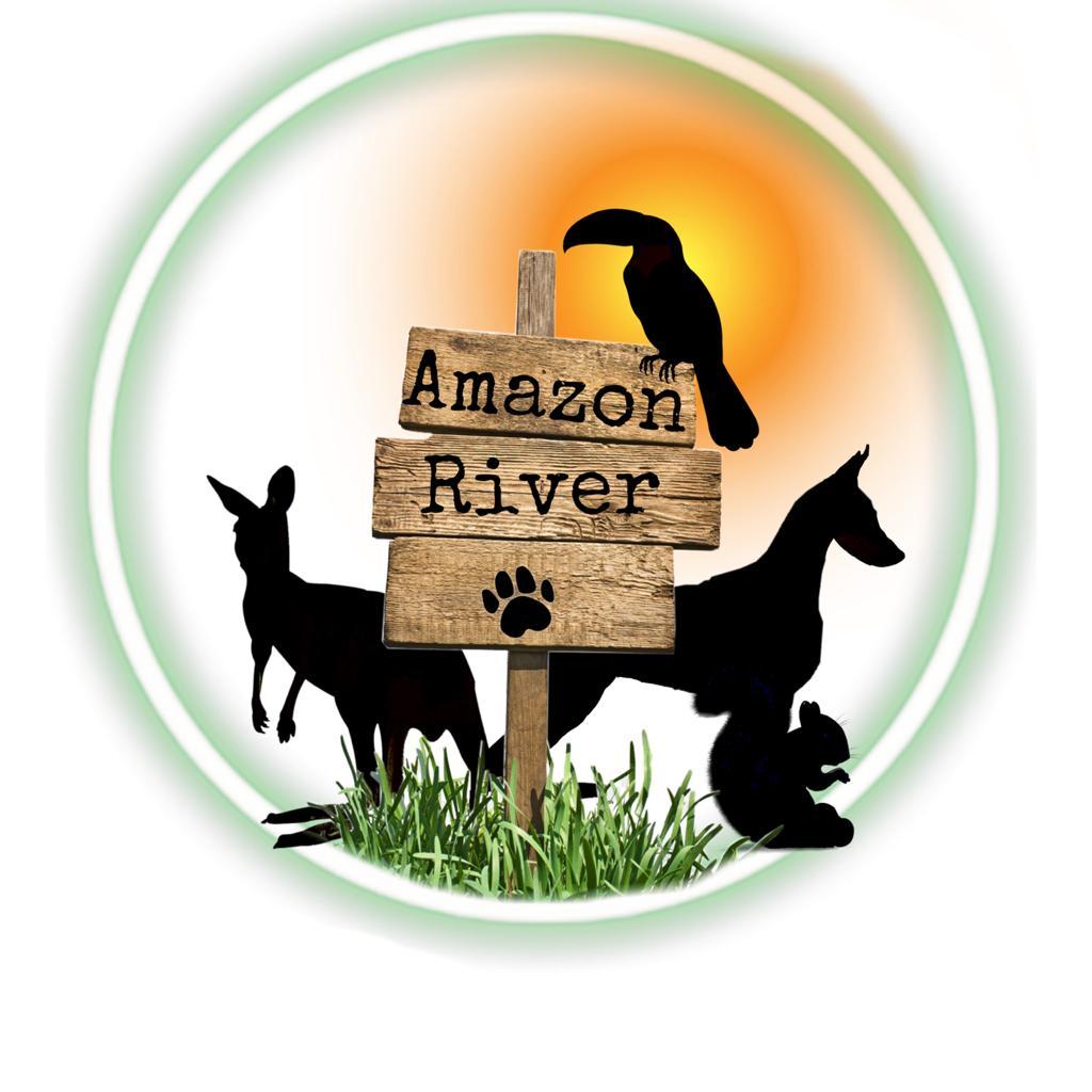 Amazon river
