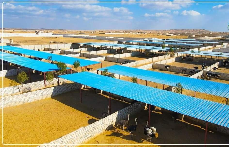 عاصمه العقارية