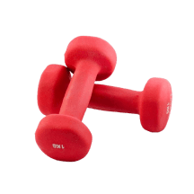 Fitness & Sports logo